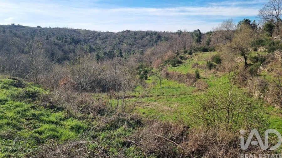 Terreno para Venda em São Pedro e Santa Maria e Vila Boa do Mondego Foto 33