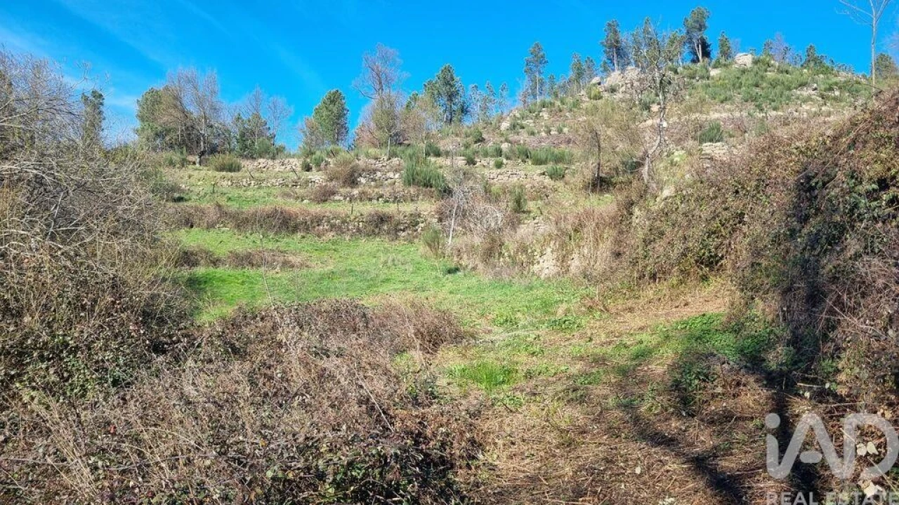Terreno para Venda em São Pedro e Santa Maria e Vila Boa do Mondego Foto 24