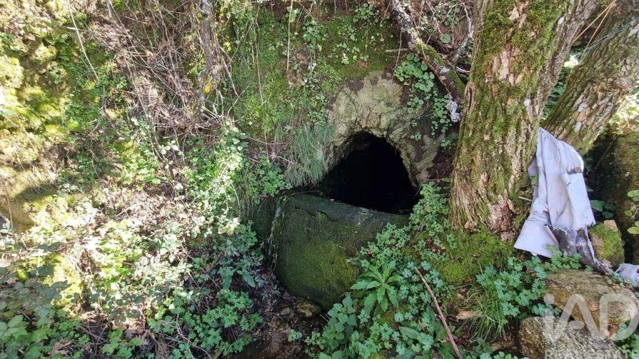 Terreno para Venda em São Pedro e Santa Maria e Vila Boa do Mondego Foto 9