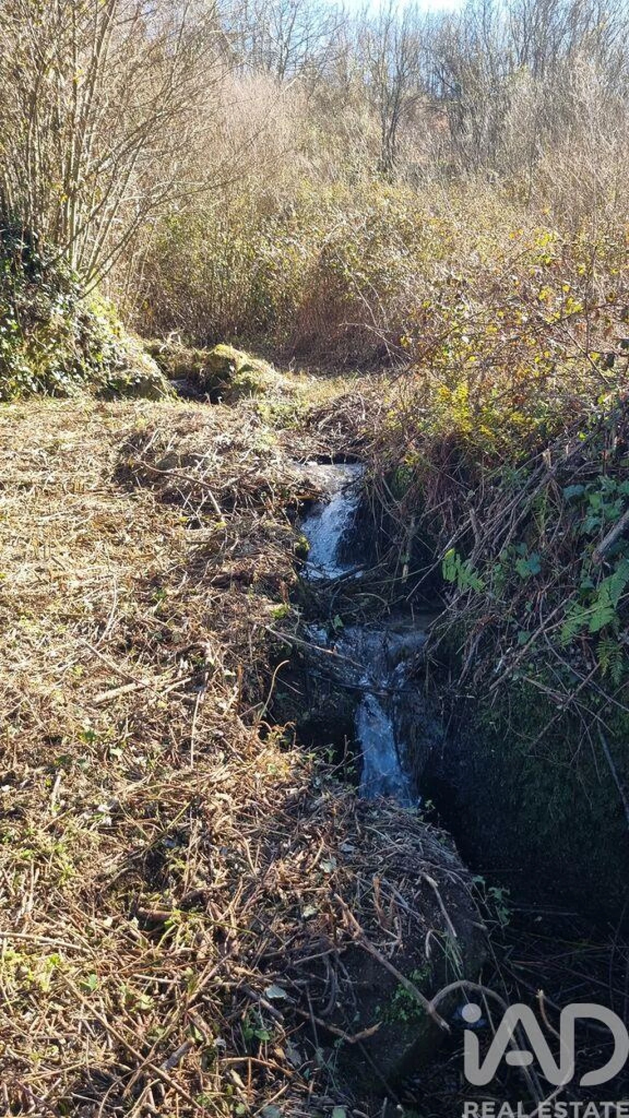Terreno para Venda em São Pedro e Santa Maria e Vila Boa do Mondego Foto 30
