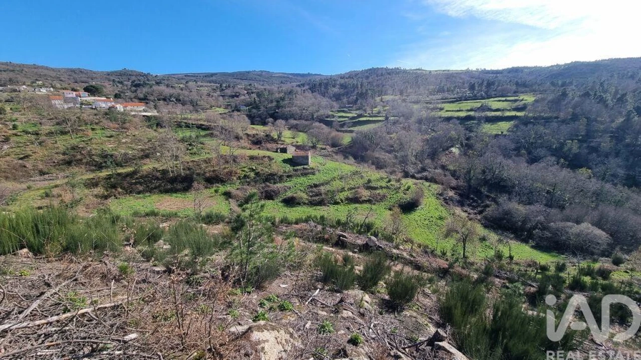 Terreno para Venda em São Pedro e Santa Maria e Vila Boa do Mondego Foto 27