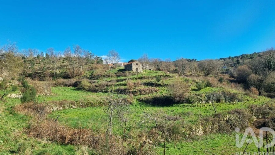 Terreno para Venda em São Pedro e Santa Maria e Vila Boa do Mondego