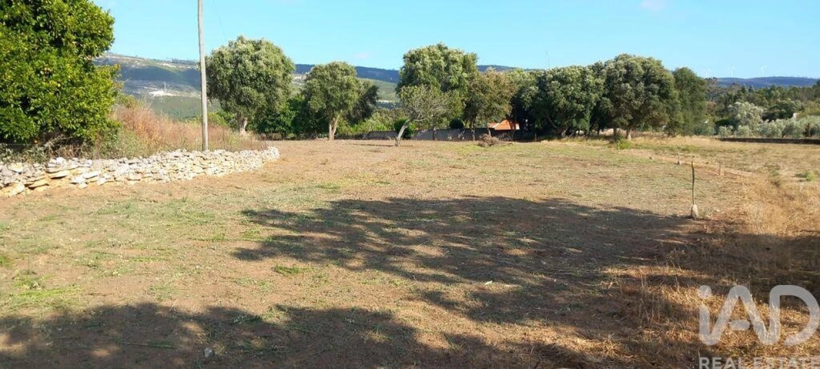 Terreno para Venda em Alcobaça e Vestiaria Foto 11