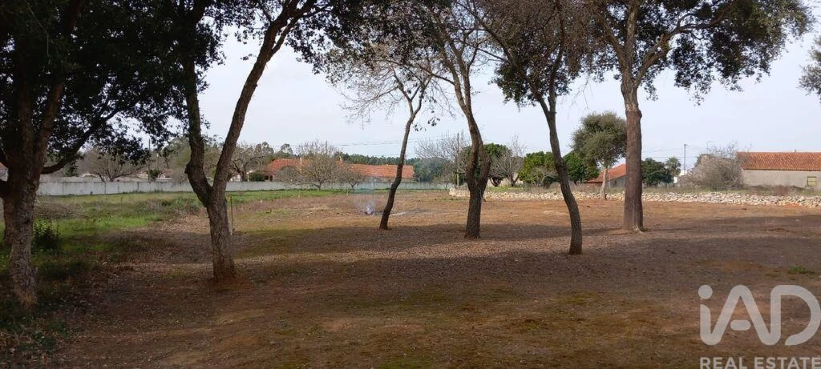 Terreno para Venda em Alcobaça e Vestiaria Foto 9