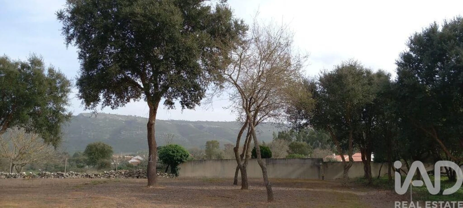 Terreno para Venda em Alcobaça e Vestiaria Foto 6