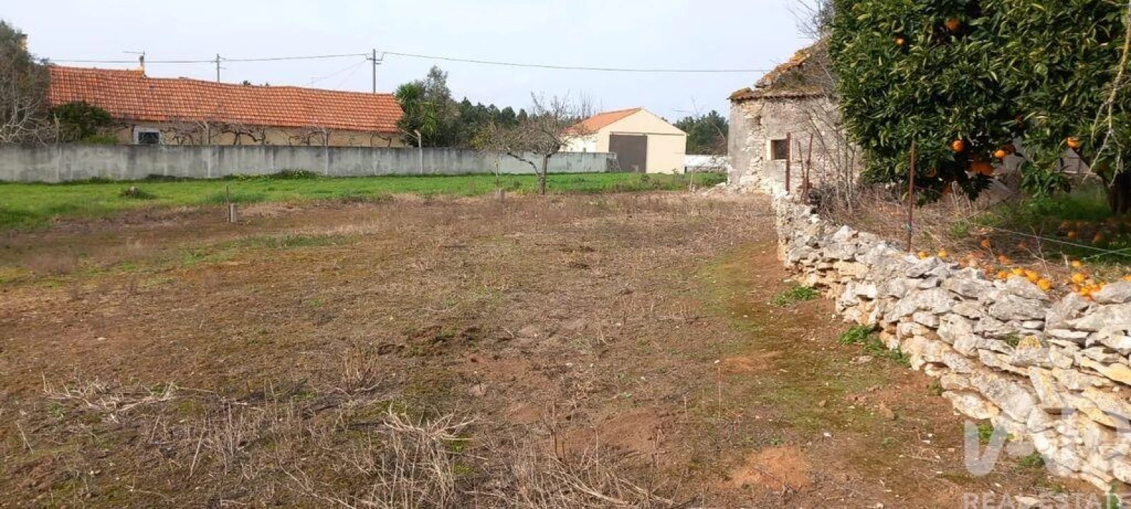 Terreno para Venda em Alcobaça e Vestiaria Foto 4