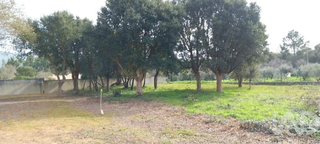 Terreno para Venda em Alcobaça e Vestiaria Foto 5