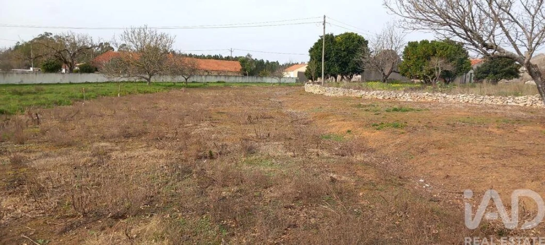 Terreno para Venda em Alcobaça e Vestiaria Foto 8