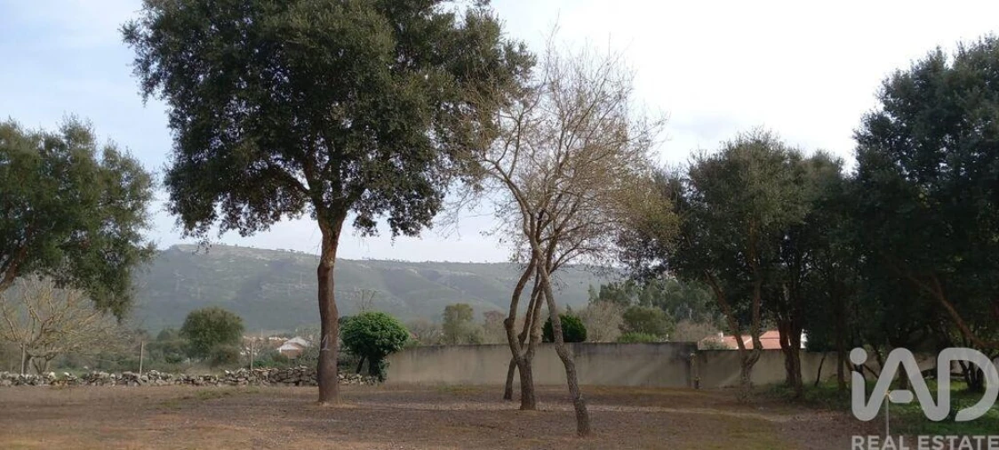 Terreno para Venda em Alcobaça e Vestiaria Foto 6