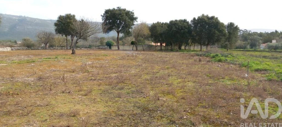 Terreno para Venda em Alcobaça e Vestiaria Foto 7