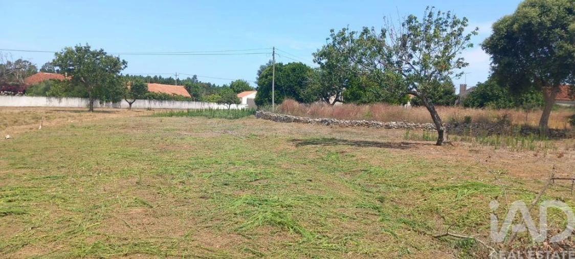 Terreno para Venda em Alcobaça e Vestiaria Foto 13