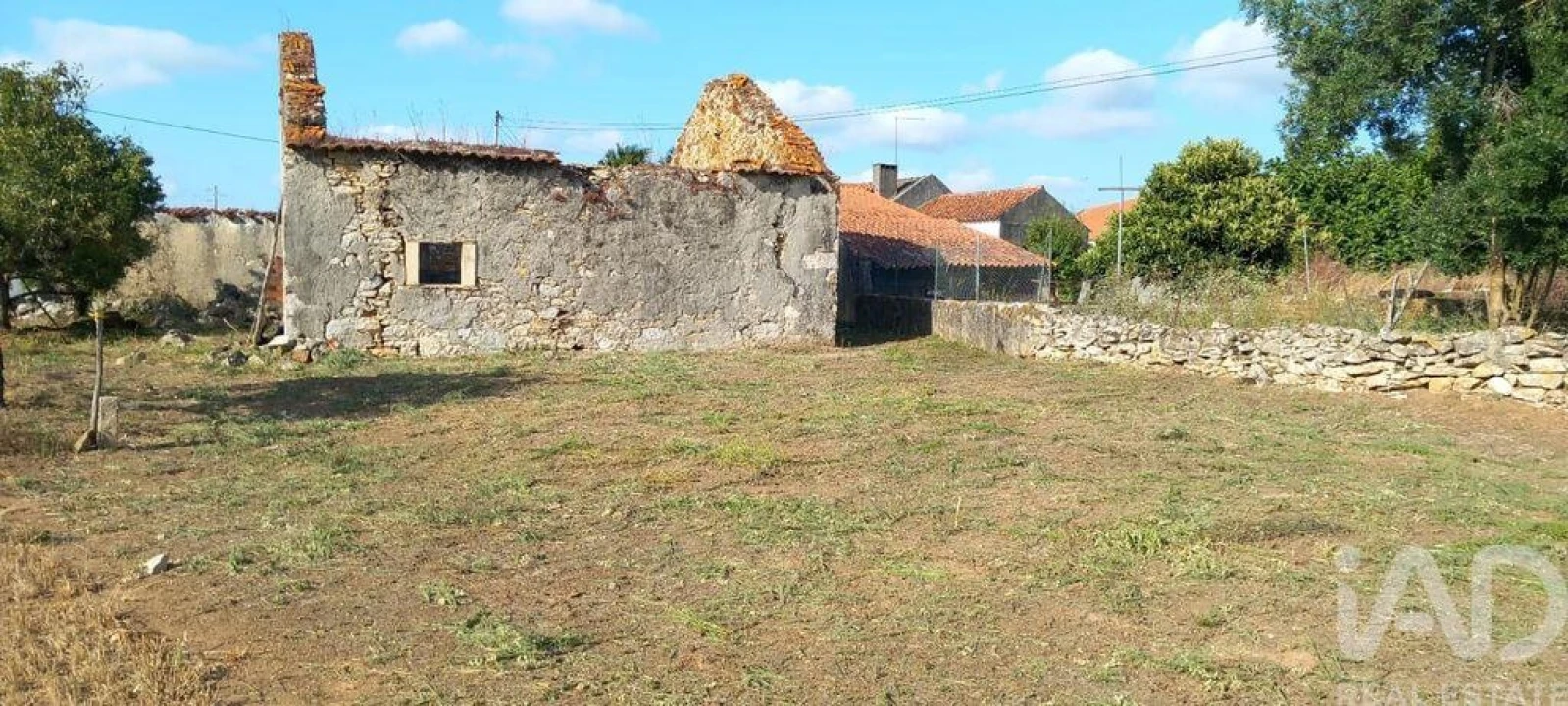 Terreno para Venda em Alcobaça e Vestiaria Foto 10