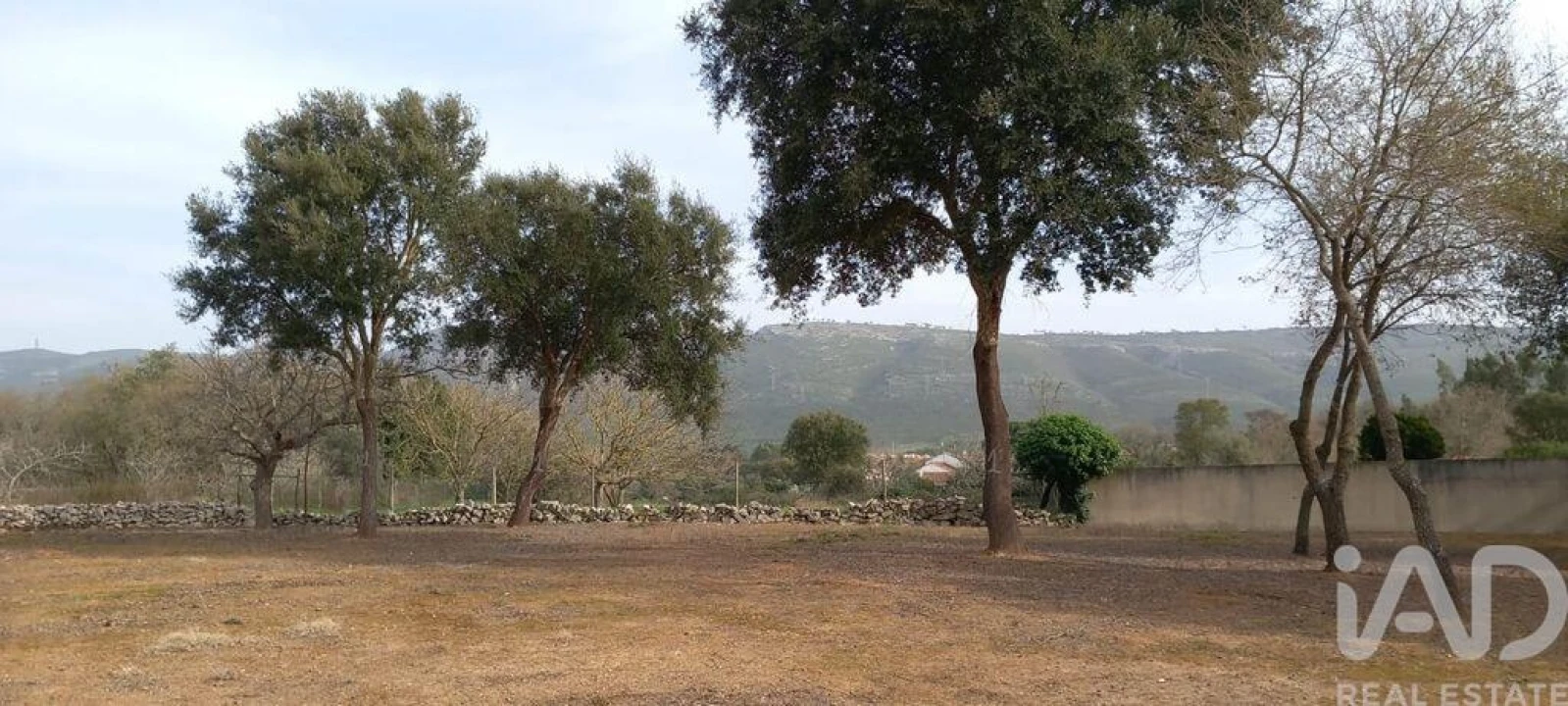 Terreno para Venda em Alcobaça e Vestiaria Foto 12