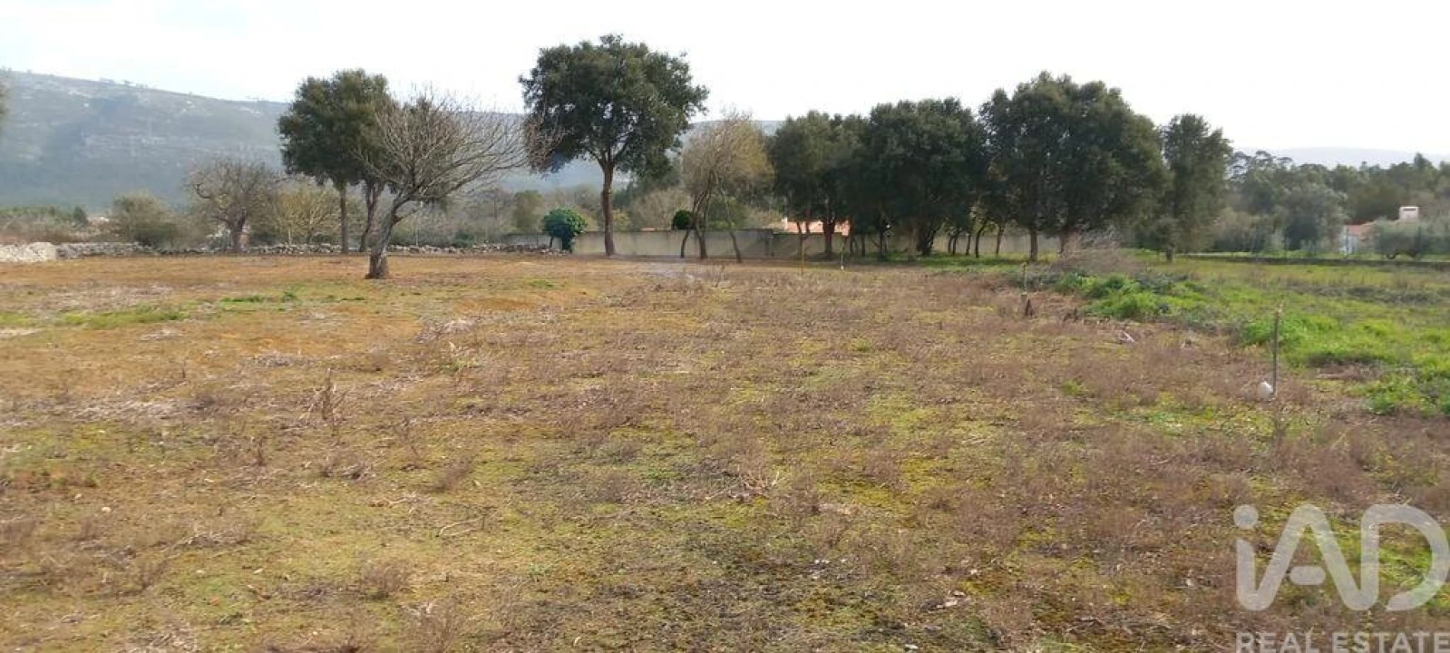 Terreno para Venda em Alcobaça e Vestiaria Foto 7