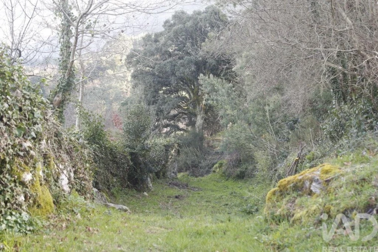 Terreno para Venda em Gondomil e Sanfins Foto 10