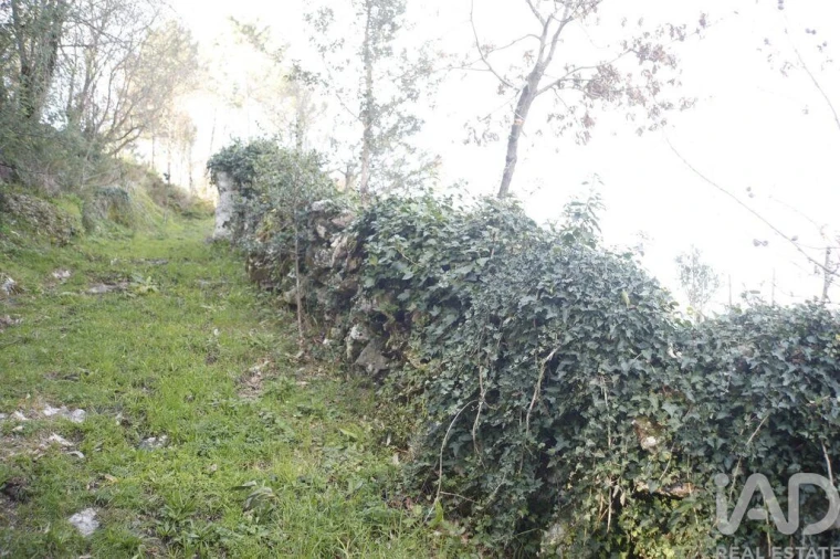 Terreno para Venda em Gondomil e Sanfins Foto 12