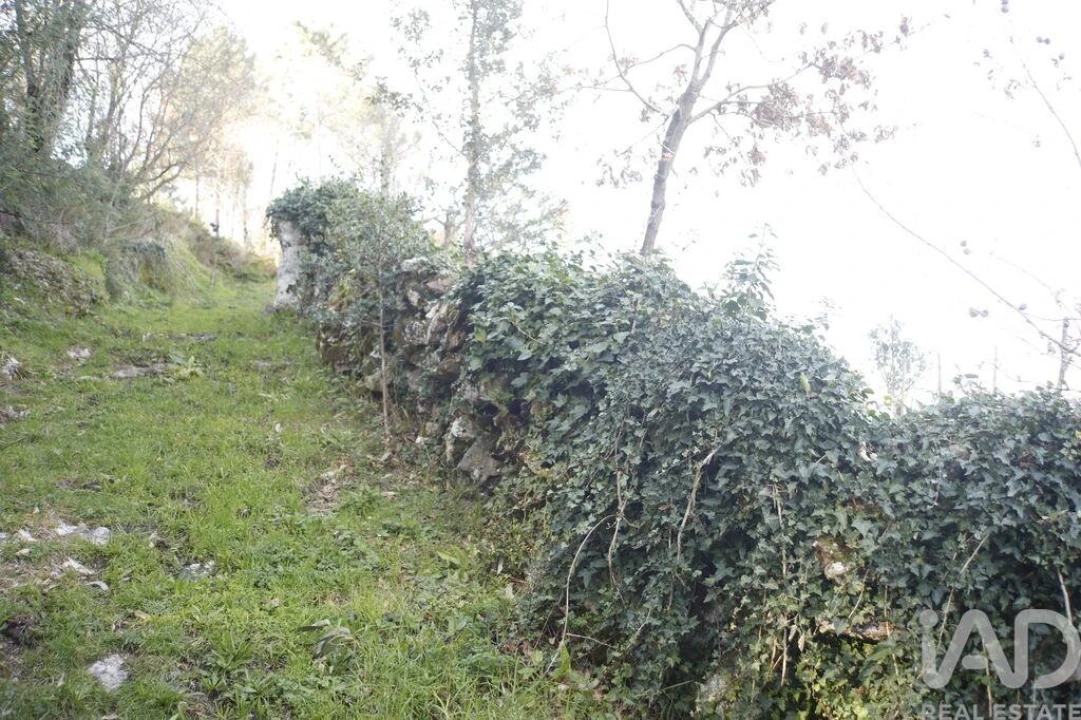 Terreno para Venda em Gondomil e Sanfins Foto 12