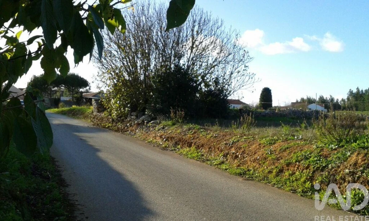 Terreno para Venda em Alcobaça e Vestiaria Foto 6