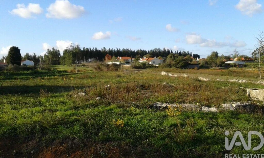 Terreno para Venda em Alcobaça e Vestiaria Foto 3
