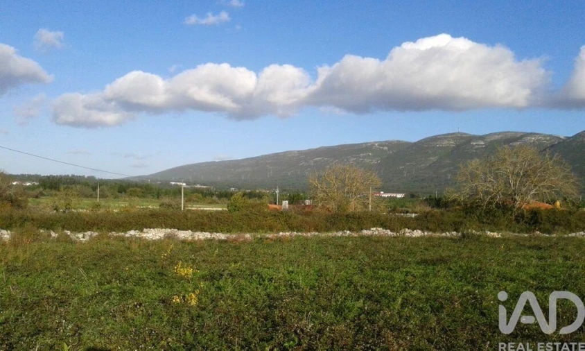 Terreno para Venda em Alcobaça e Vestiaria Foto 5