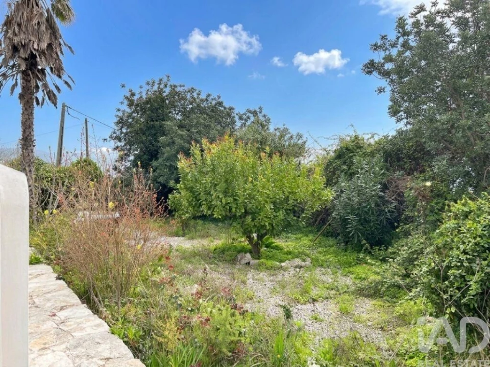 Moradia T3 para Venda em São Brás de Alportel Foto 33