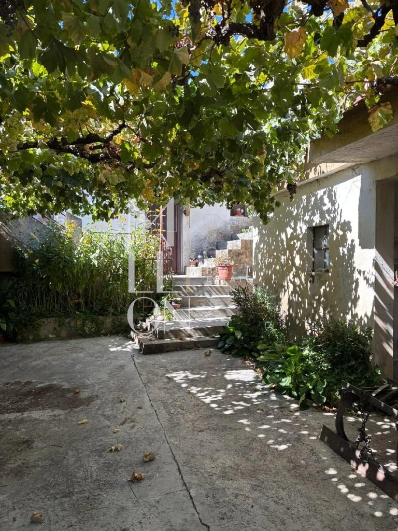 Quinta T4 para Venda em Maçainhas Foto 4