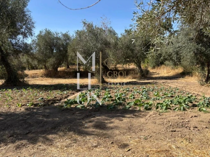 Quinta T4 para Venda em Maçainhas Foto 12