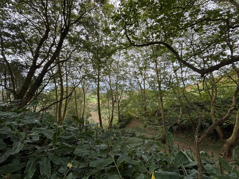 Terreno para Venda em Santa Barbara Foto 17