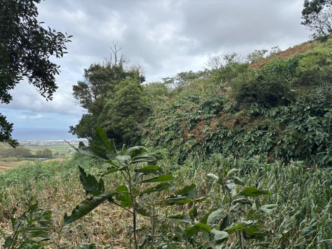 Terreno para Venda em Santa Barbara Foto 18