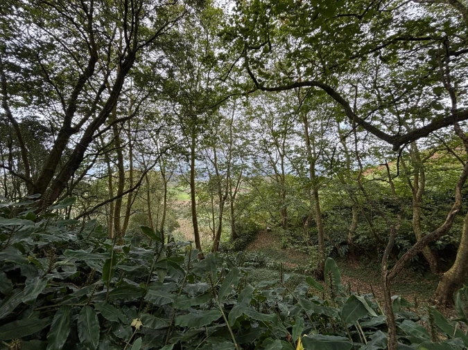 Terreno para Venda em Santa Barbara Foto 17