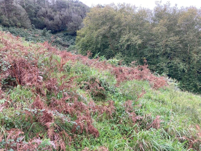 Terreno para Venda em Santa Barbara Foto 11