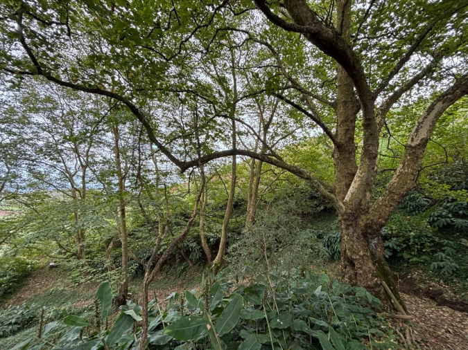 Terreno para Venda em Santa Barbara Foto 15