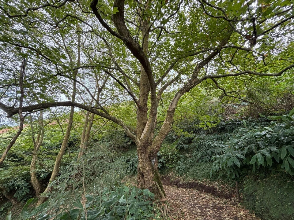 Terreno para Venda em Santa Barbara Foto 16