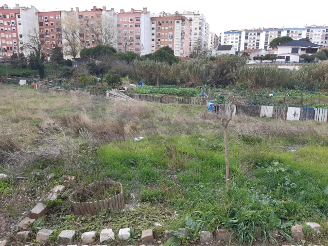 Terreno para Venda em Agualva e Mira-Sintra Foto 6