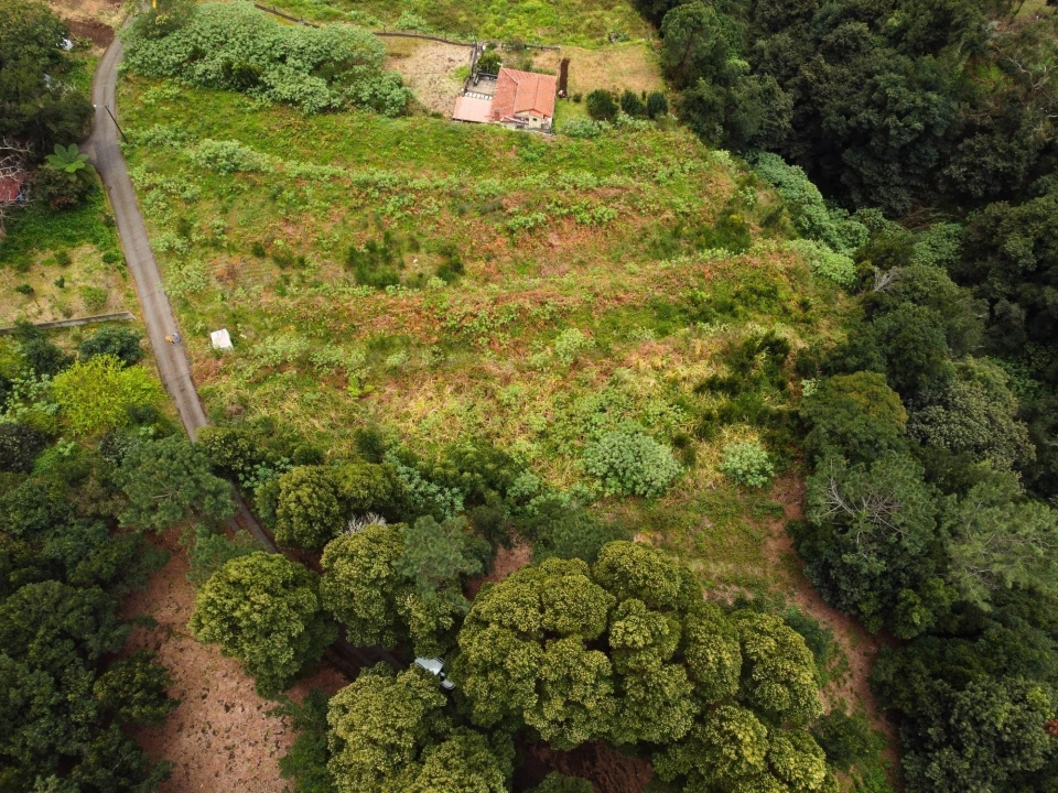 Terreno para Venda em São Vicente Foto 10