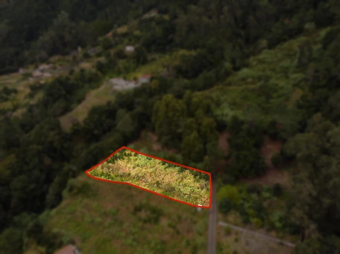 Terreno para Venda em São Vicente Foto 4