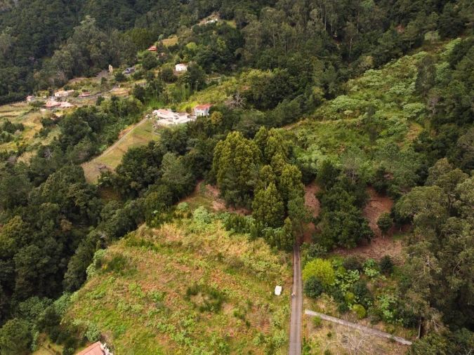 Terreno para Venda em São Vicente Foto 3