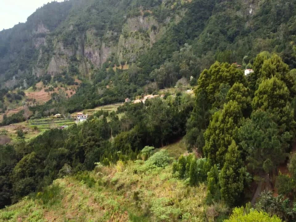 Terreno para Venda em São Vicente Foto 13