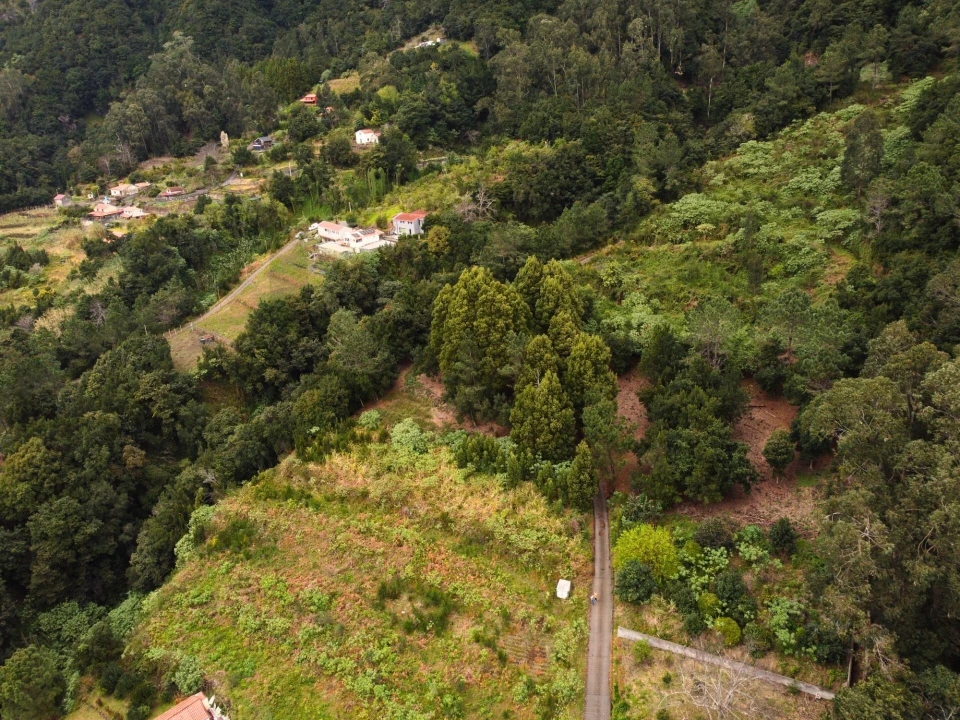 Terreno para Venda em São Vicente Foto 3