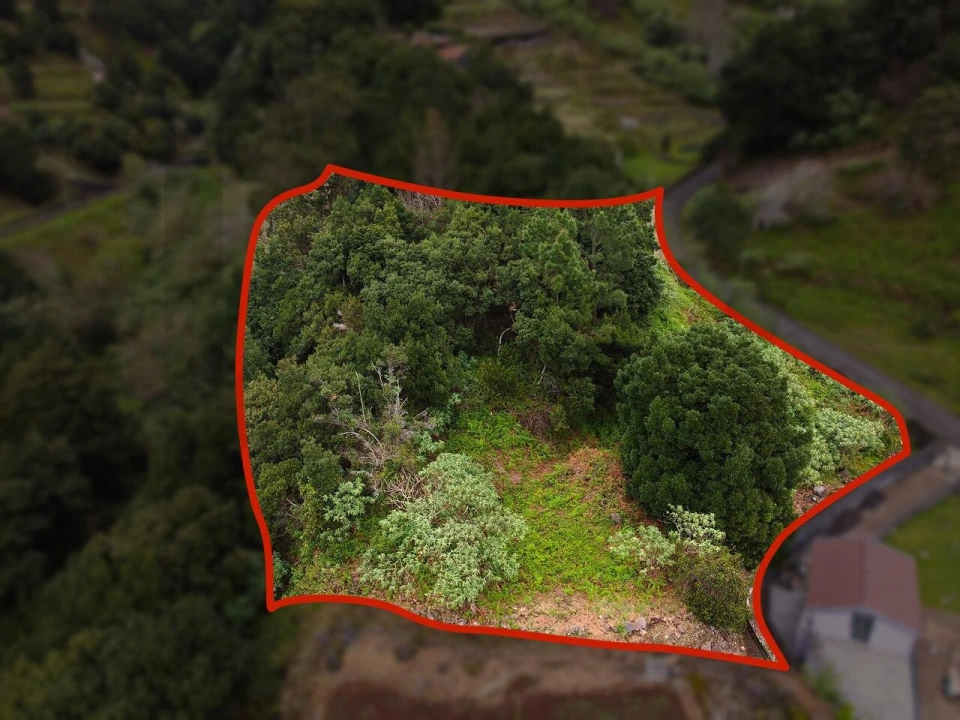 Terreno para Venda em São Vicente Foto 6