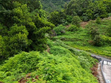 Terreno para Venda em São Vicente