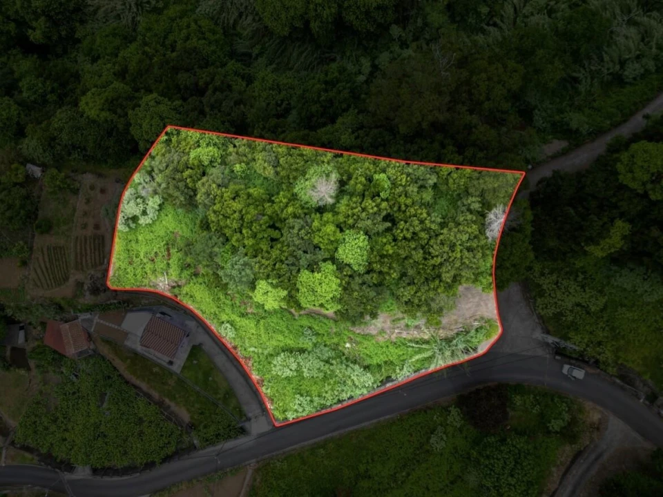 Terreno para Venda em São Vicente Foto 3