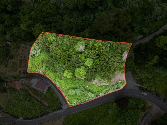 Terreno para Venda em São Vicente Foto 3