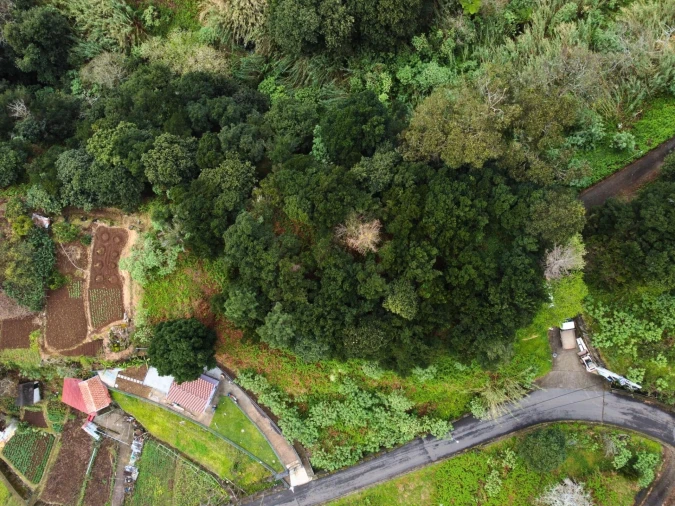 Terreno para Venda em São Vicente Foto 6