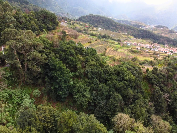Terreno para Venda em São Vicente Foto 10