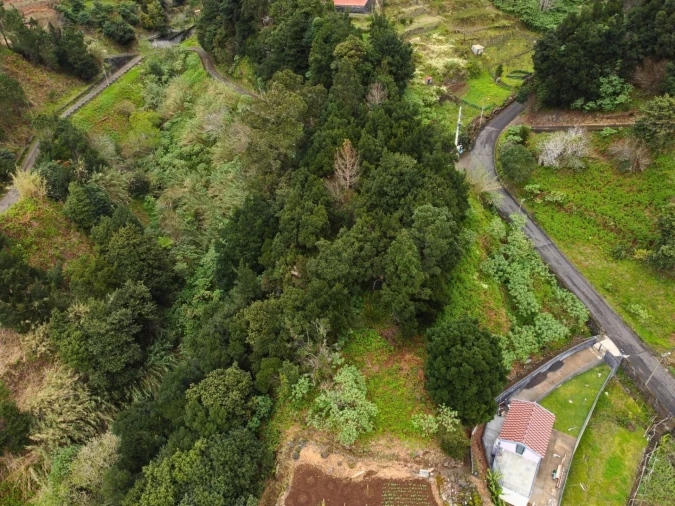 Terreno para Venda em São Vicente Foto 9