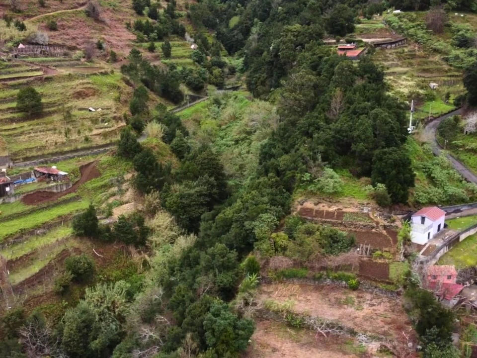 Terreno para Venda em São Vicente Foto 13