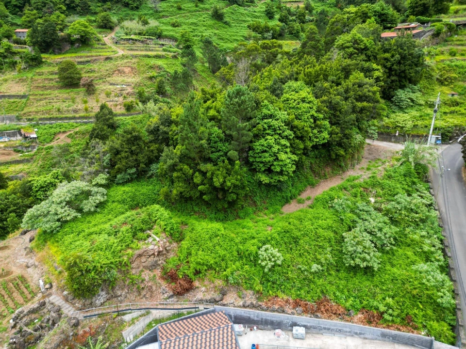 Terreno para Venda em São Vicente Foto 13