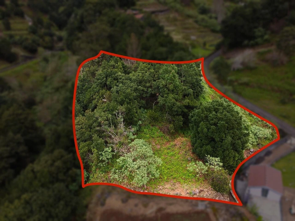 Terreno para Venda em São Vicente Foto 4