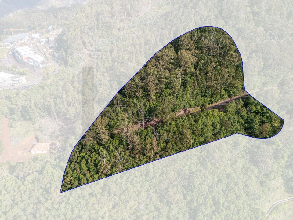 Terreno para Venda em Campanario Foto 2